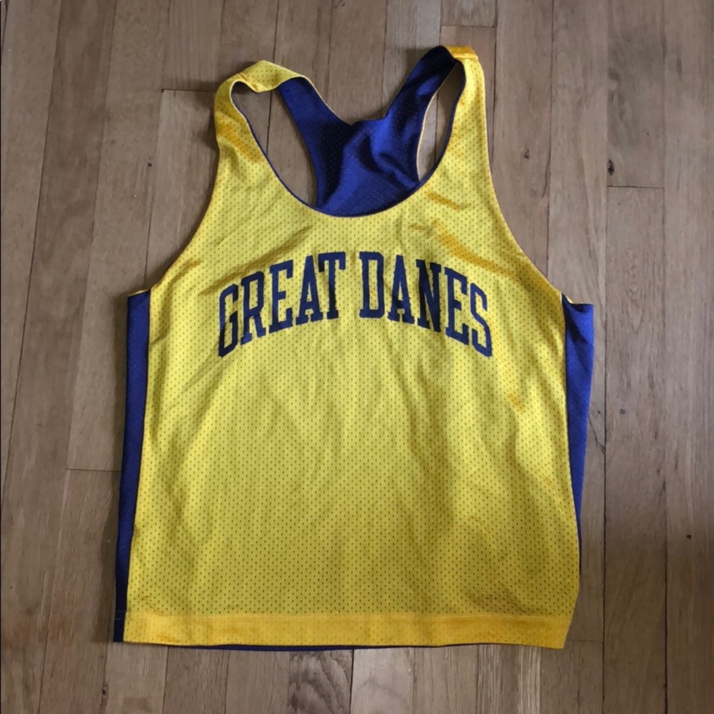 University at Albany Pinnie